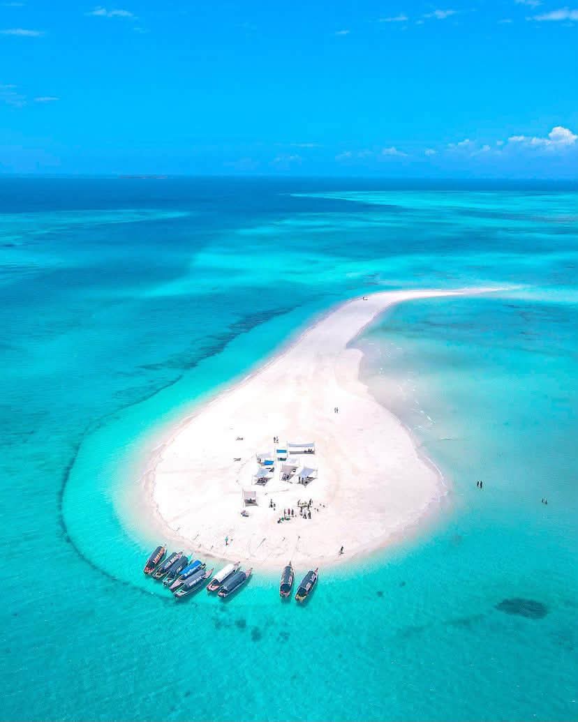 Tanzania honeymoon safari and beach, Zanzibar beach holidays luxury safari, East Africa safari itinerary, best time for safari Kenya, Cinematic Vacations safari guide