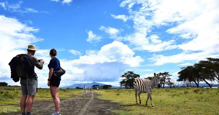 Lake Naivasha boat safari and Crescent Island, Lake Naivasha luxury safari, East Africa safari itinerary, best time for safari Kenya, Cinematic Vacations safari guide