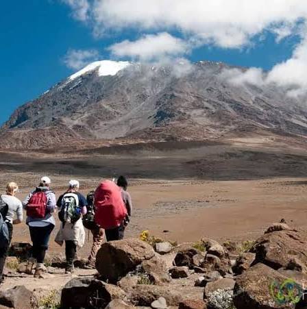 Kilimanjaro day hike from Arusha, Kilimanjaro luxury safari, East Africa safari itinerary, best time for safari Kenya, Cinematic Vacations safari guide