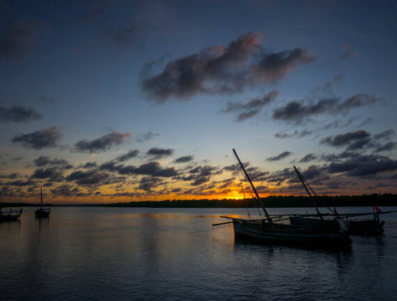 Dhow Sunset Cruises Kisite Mpunguti Marine Park dolphin dhow safari Wasini