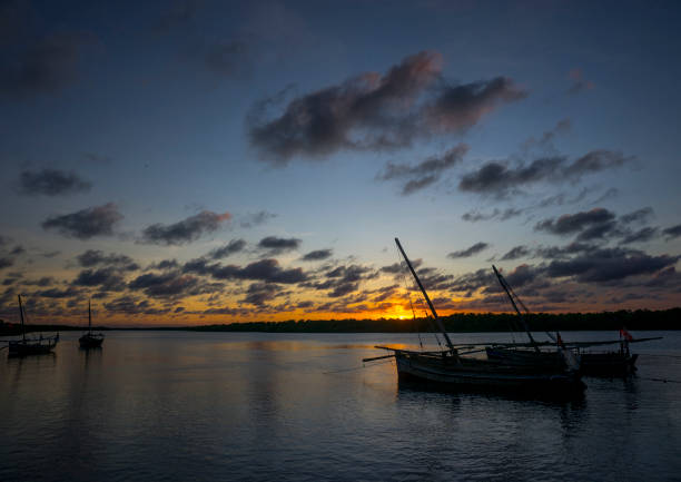 Dhow Sunset Cruises Kisite Mpunguti Marine Park dolphin dhow safari Wasini