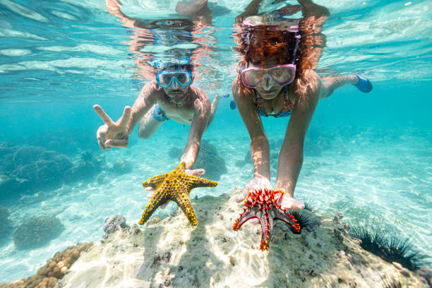 Snorkeling and Scuba Diving