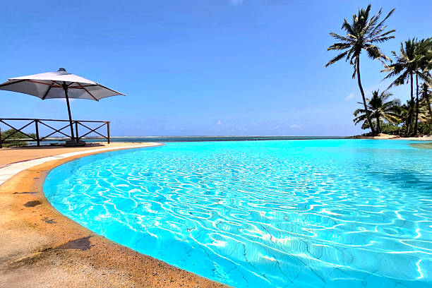 Serengeti and Zanzibar honeymoon, Zanzibar beach holidays luxury safari, East Africa safari itinerary, best time for safari Kenya, Cinematic Vacations safari guide