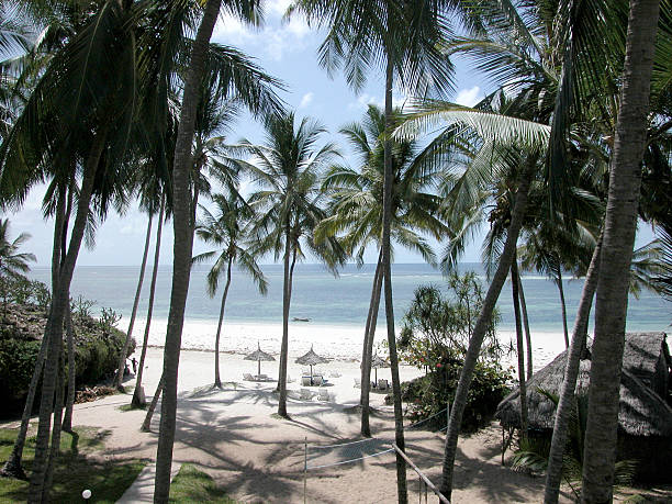 Kenya safari and Seychelles beach package