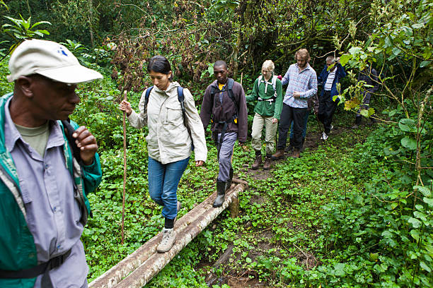 Bwindi Impenetrable Forest luxury gorilla safari
