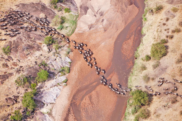 Off-the-Beaten-Path Kenya Safaris Maasai Mara private conservancy vs national reserve