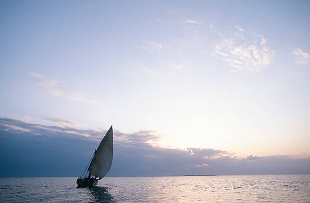 Tanzania safari and Zanzibar beach packages