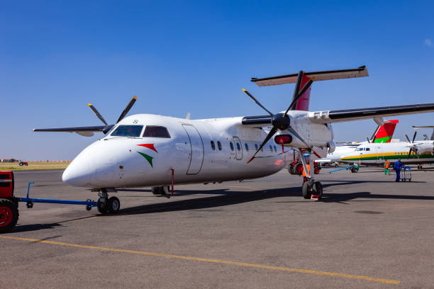 Fly-In Luxury Safaris. luxury fly in safari Kenya cost